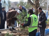 مراسم روز درختکاری در دانشگاه فنی و حرفه ای استان آذربایجان شرقی