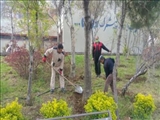 کاشت 300 اصله نهال میوه در دانشگاه فنی و حرفه ای استان آذربایجان شرقی