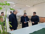 بازدید مسئول اجرای الگوی نوین تغذیه دانشجویی وزارت علوم از دانشگاه ملی مهارت واحد استانی  آذربایجان شرقی