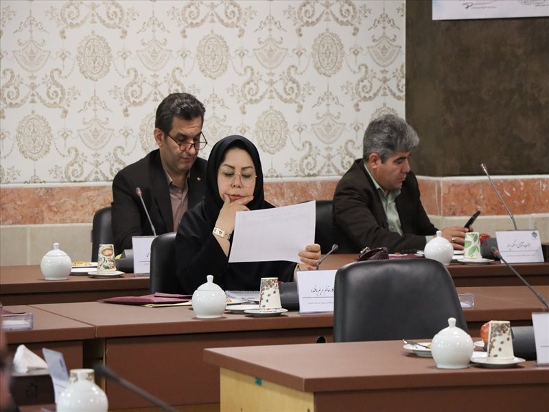 نشست معاونان آموزشی واحدهای استانی دانشگاه ملی مهارت