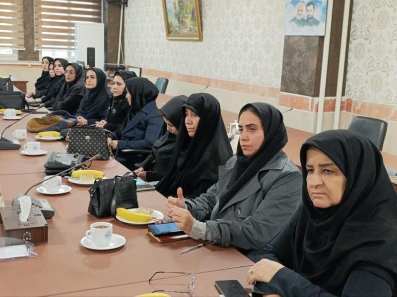 هیئت علمی ها