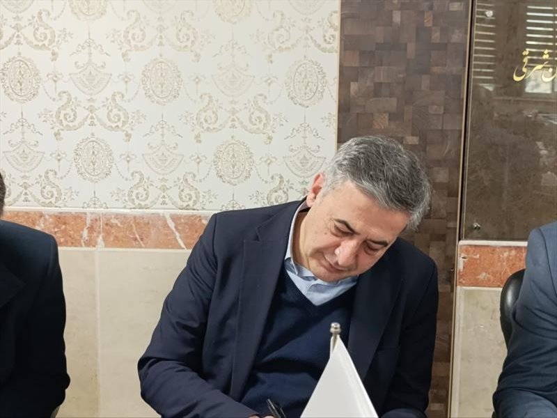 داوری جشنواره