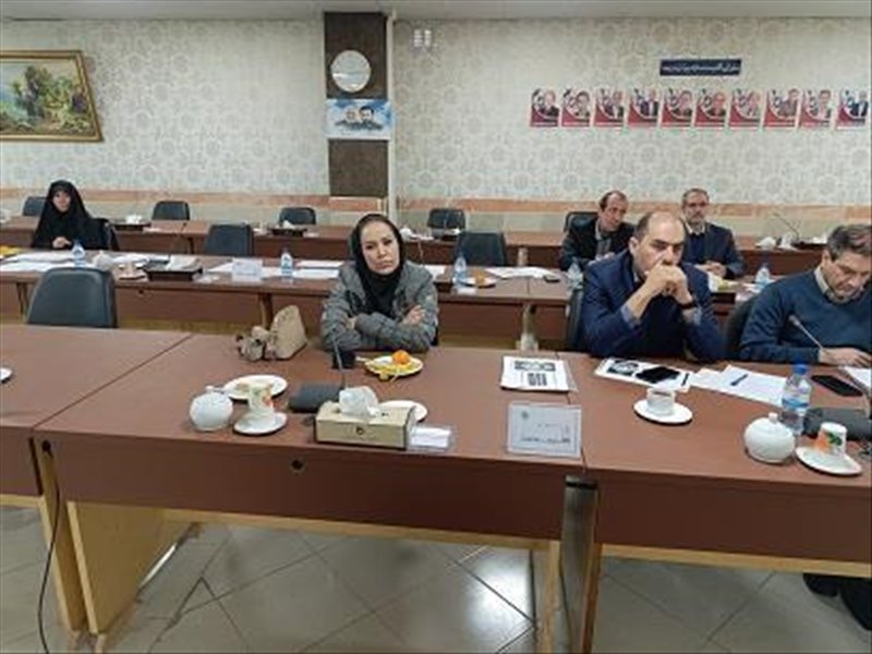 داوری جشنواره