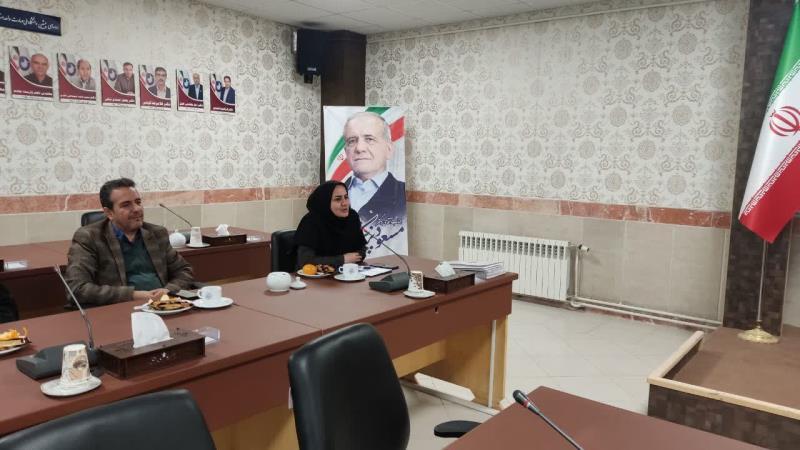 جشنواره علامه